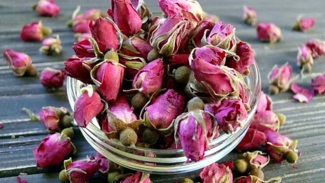 تصویر 3 از غنچه گل محمدی لاله زار کرمان با رنگ طبیعی و کیفیت بالا